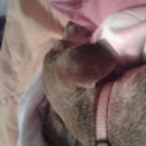 Meet your Posher, Monie